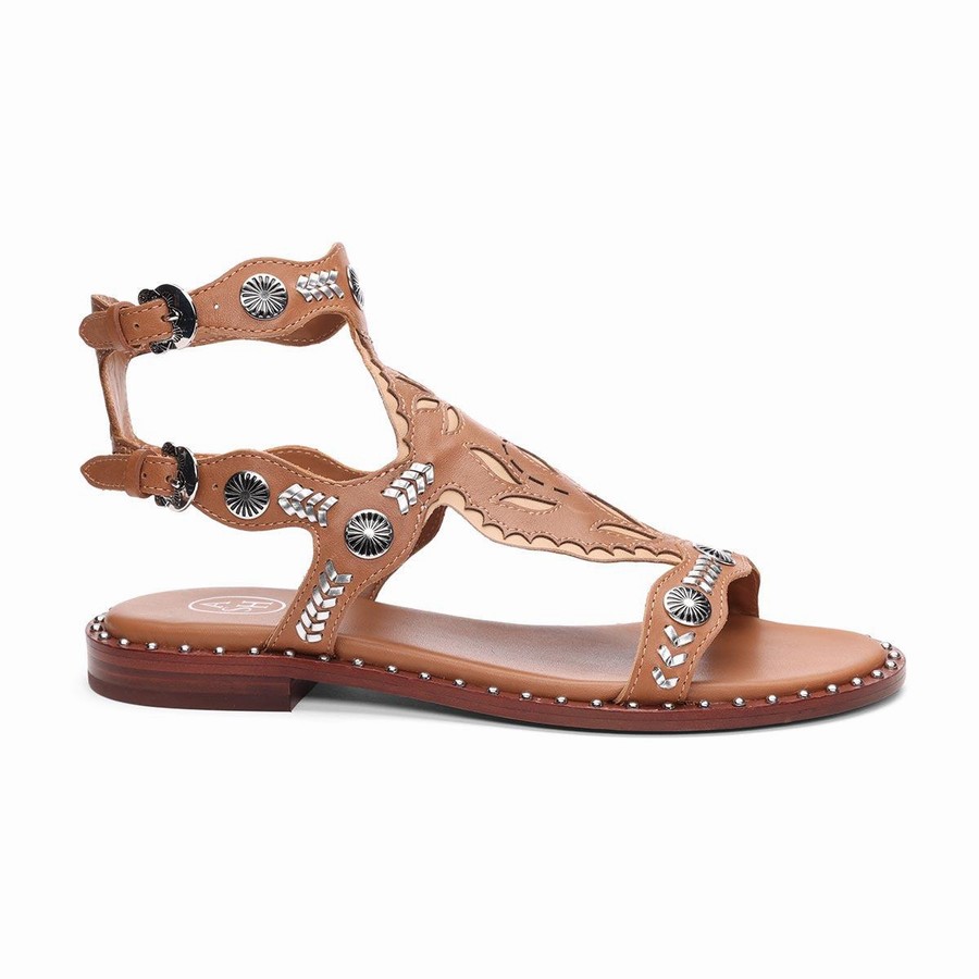 Sandale Ash Paraiba Embellished Flat Marron Femme | LLA-5118849