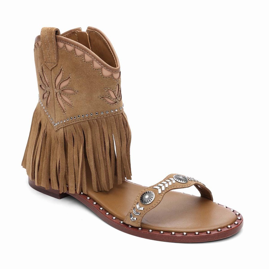 Sandale Ash Paquito Embellished Fringe Marron Femme | RCG-1522330