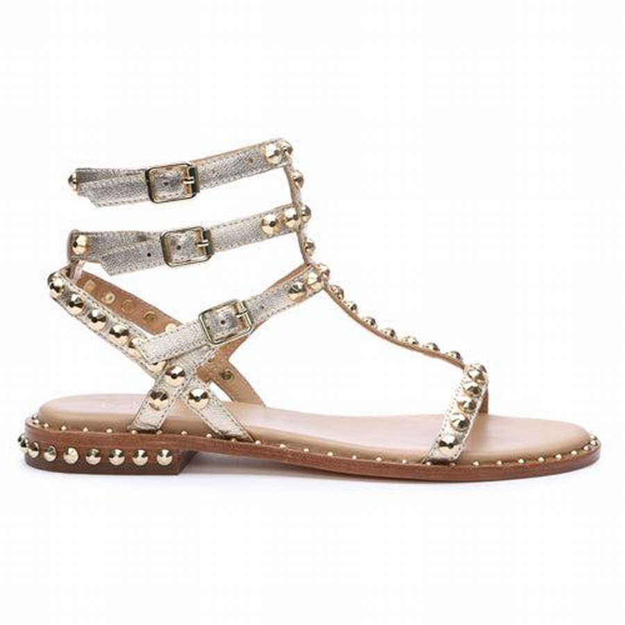 Sandale Ash Play Metallic Studded Flat Doré Femme | SXD-7635644