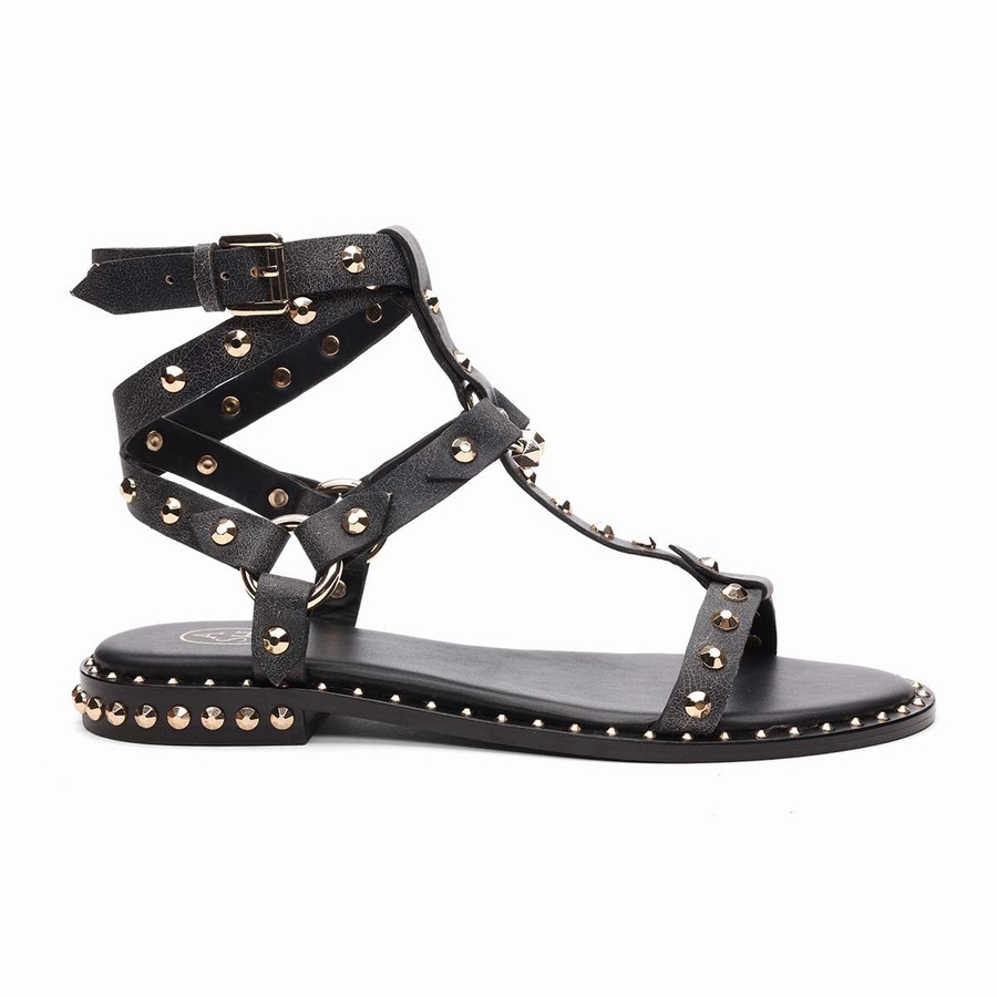 Sandale Ash Pulp Studded Flat Noir Femme | XKL-4919862