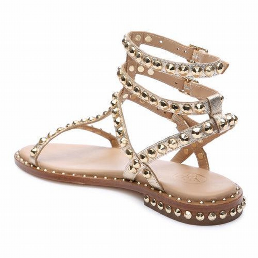 Sandale Ash Play Metallic Studded Flat Doré Femme | SXD-7635644