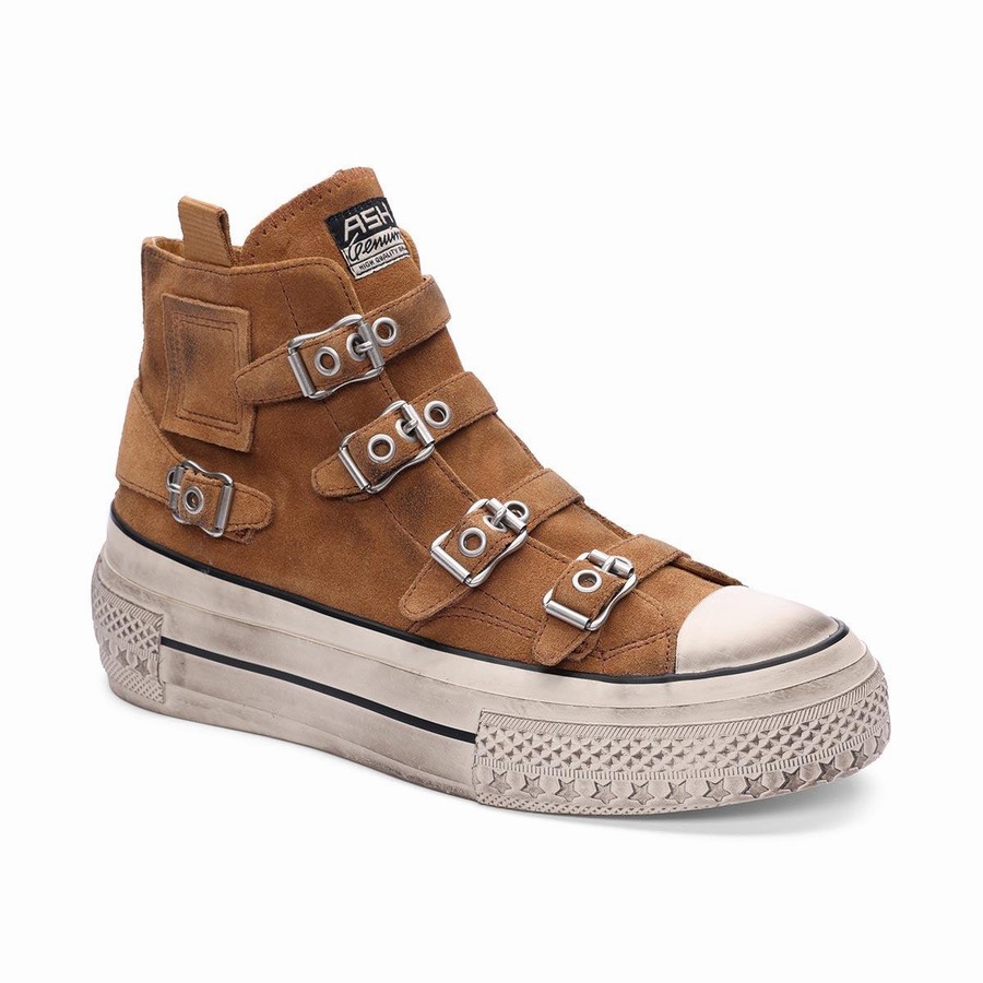 Basket Ash Rainbow Suede Buckle Hightop Marron Femme | JKL-0237353