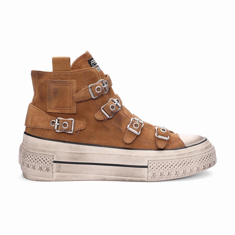 Basket Ash Rainbow Suede Buckle Hightop Marron Femme | JKL-0237353