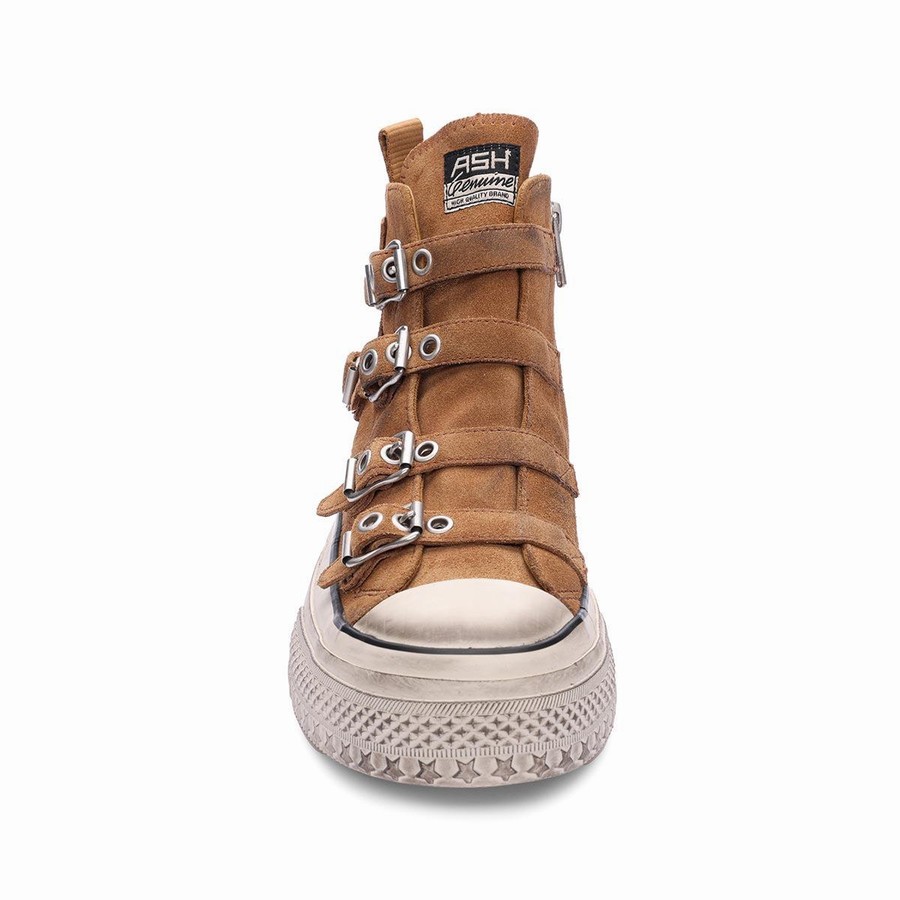 Basket Ash Rainbow Suede Buckle Hightop Marron Femme | JKL-0237353