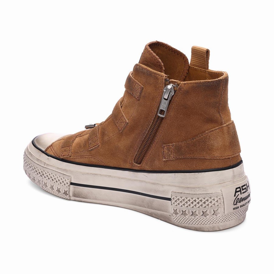 Basket Ash Rainbow Suede Buckle Hightop Marron Femme | JKL-0237353